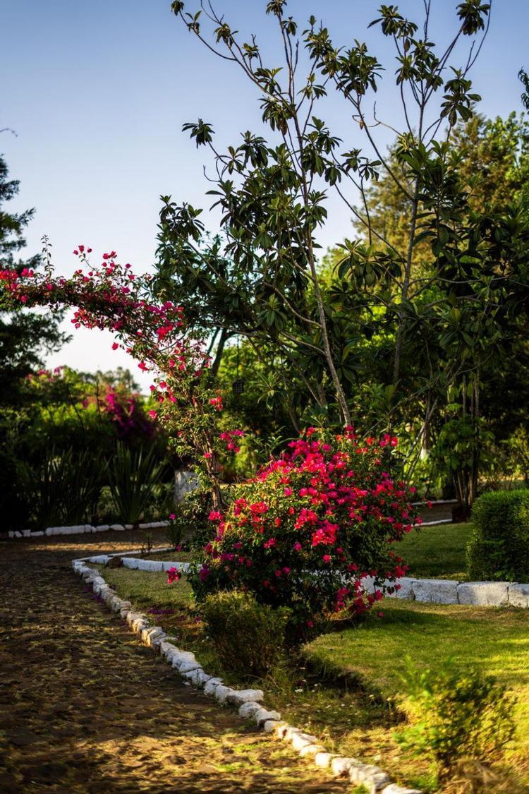 Best Western Plus Posada De Don Vasco Pátzcuaro Esterno foto Bougainvillea